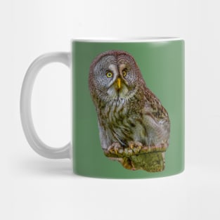 The Phantom of the North - The Great Grey Owl Mug